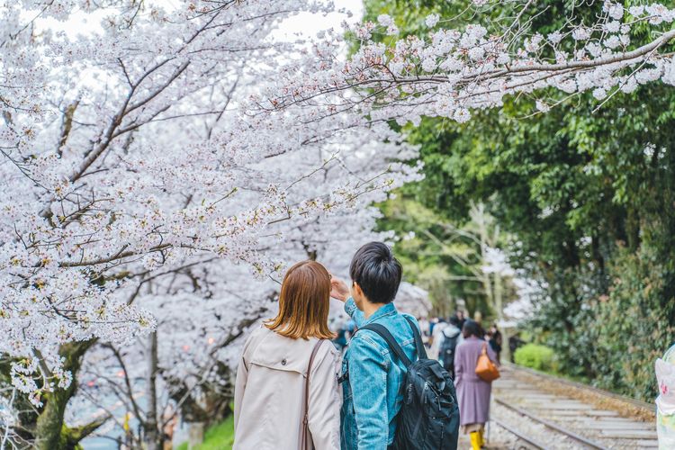 7 Ways to Save Money While Traveling in Japan